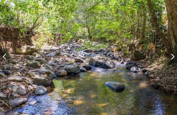 Lagoon Serenity: a tranquil view of the property’s lagoon, ideal for kayaking, paddleboarding, or relaxing on calm waters.
