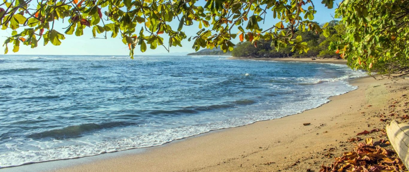 Unspoiled beaches with crystal-clear waters, surrounded by lush nature—perfect for relaxation, eco-adventures, and coastal serenity.