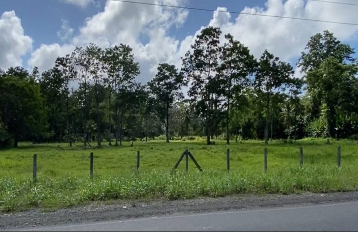 Spacious Flat Roadfront – Wide, level land along Route 36, perfect for sustainable eco-development with high visibility and easy access.