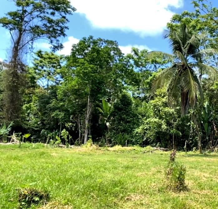 Through the property’s forested area, the land directly borders the Limoncito Wildlife Refuge, ensuring preserved nature and long-term value
