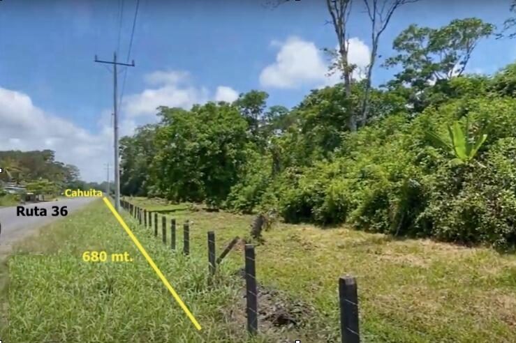 Property roadfront connecting directly to Cahuita, Puerto Viejo, and Manzanillo—easy access to top Caribbean attractions.