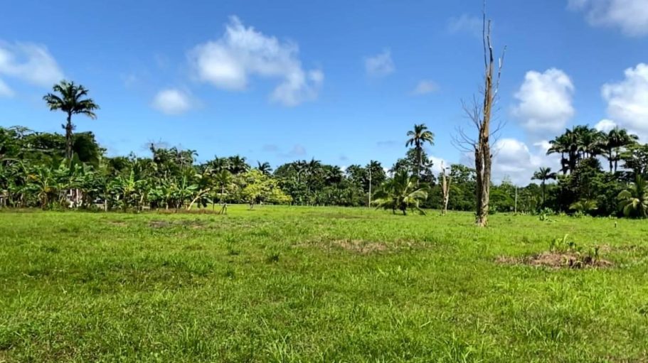 Flat areas suited for eco-friendly, sustainable structures designed to blend seamlessly with the surrounding natural landscape.