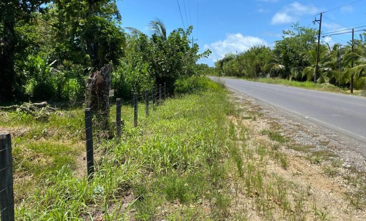 Extensive Roadfront – The property offers 2,230 feet of direct frontage, providing prime visibility, easy access, and strong development.