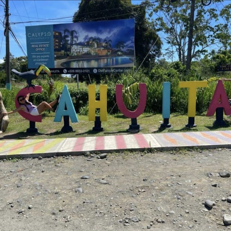 Only 20 miles from Cahuita and its famous National Park, offering easy access to wildlife, beaches, and eco-adventures.