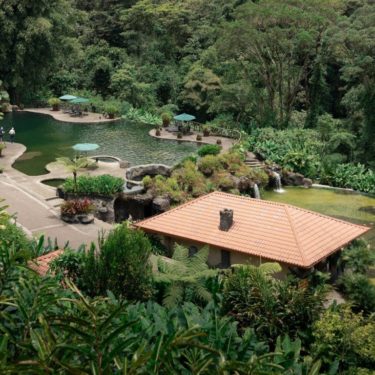 An aerial concept of a sustainable eco-lodge immersed in nature, showcasing the property’s potential for low-impact eco-tourism.