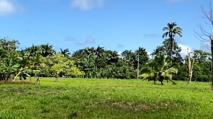 Wide, flat area suitable for eco-lodges, sustainable tourism, and other nature-integrated developments.