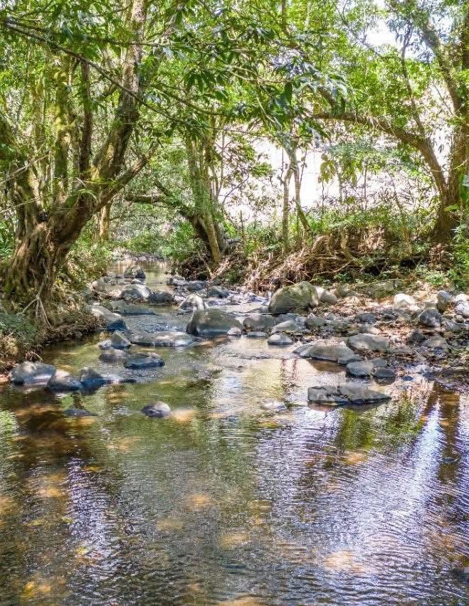 A serene view of the on-site lagoon, offering calm waters, natural beauty, and a peaceful oasis within the property.