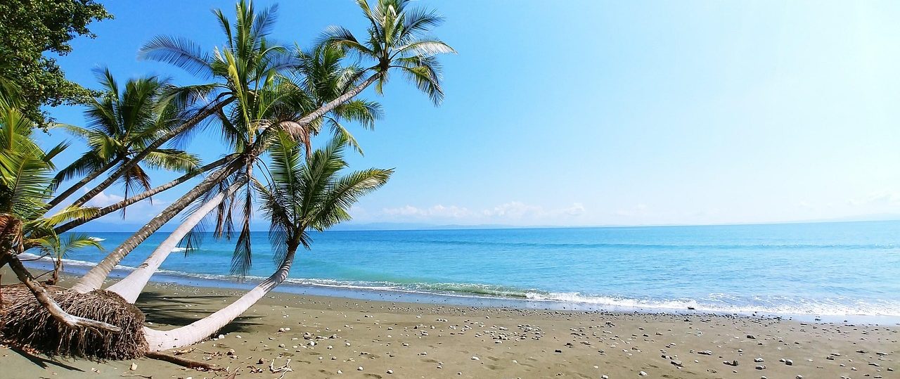 Pristine beach lined with swaying palms, crystal-clear waters, and untouched nature—a true Caribbean paradise.